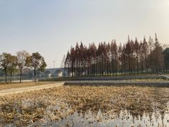 -尚贤河湿地