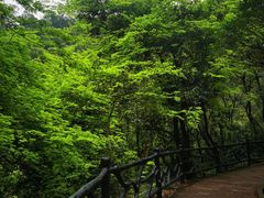 -大雁山风景区