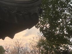 -八大山人梅湖景区