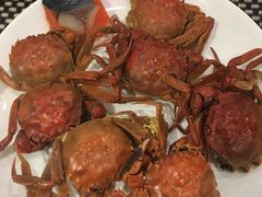 -云海轩·海鲜自助-河北云瑧世纪大饭店1F