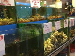 -真浪花园海鲜餐馆
