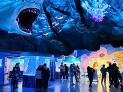 -海合安成都极地海洋公园