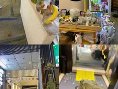 -国宝熊猫酒店(春熙路天府广场店)