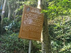 -福建天门山