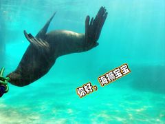 -珠海长隆海洋王国