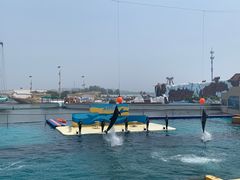 -秦皇岛乐岛海洋王国