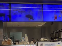 -茶百道(锦江华熙528店)