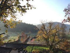 -塔川景区