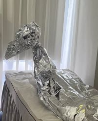 点击看大图 -ANNIL安奈尔·NASX超透白·科技抗衰·问题性肌肤管理