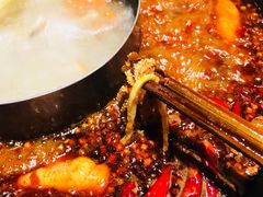 -重庆渝达老火锅(春熙路店)