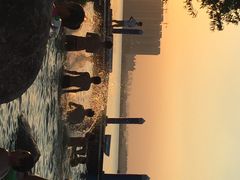 瑶湖郊野森林公园-瑶湖郊野森林公园