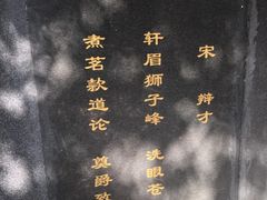 -龙井村