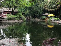 -温江公园
