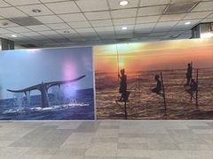 -班达拉奈克国际机场