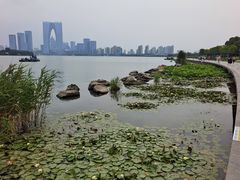 -金鸡湖景区