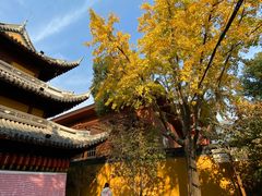 -龙华素斋(龙华路店)