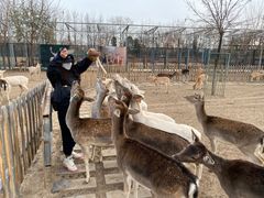-北京麋鹿生态实验中心