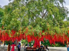 -西双版纳勐泐文化旅游区