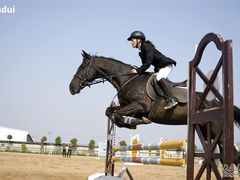 -松声马术俱乐部