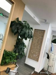 -THE LOG SALON 记录