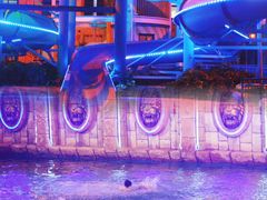 -重庆海昌加勒比海水世界