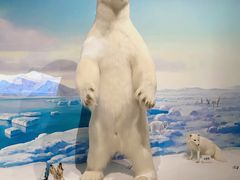 -陕西自然博物馆