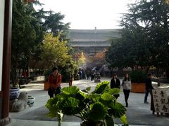 -西安乐游原