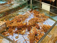 -旺顺阁海鲜广场(亚运村店)