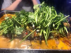 湄公鱼-炉鱼(天河领展店)