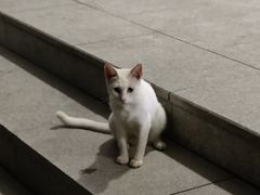 -江南大学(蠡湖校区)