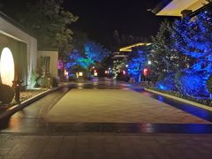 -东方华地城湿地温泉度假区