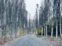 -东郊湿地公园