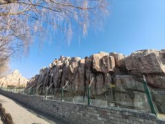 -大青山野生动物园