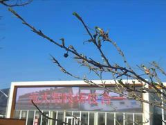 -大益膳房(华腾科技大厦店)