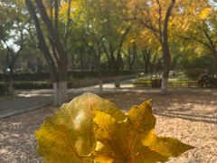 -山东大学(趵突泉校区)