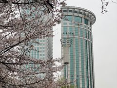 -西北湖绿化广场