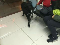-中农大我爱我爱24h动物医院·中医针灸·猫专科·骨科医疗中心(双井店)