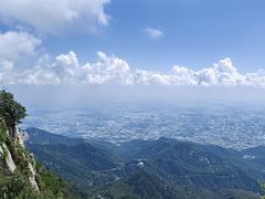 -偏爱炒鸡(老县衙店)