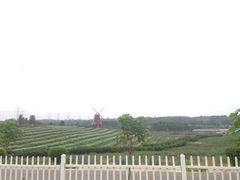 iphone_upload_pic-紫颐香薰山谷景区