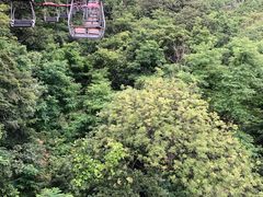 -青岛中山公园-索道售票处