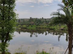 -枫香湖儿童公园