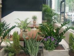 -桉树林A coffee 森林餐厅(三圣乡店)
