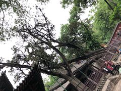 -晋祠公园