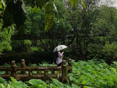 -上海醉白池公园