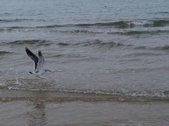-那香海钻石沙滩浴场