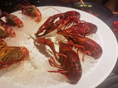 -红盔甲·小龙虾(长寿路店)