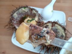 -海胆小馆(东北水饺·春柳店)