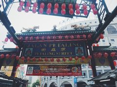 -罗汉果龙眼冰糖燉冬瓜