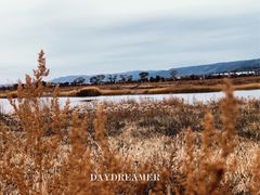 -敕勒川草原文化旅游区