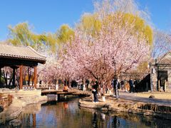 -三里河公园